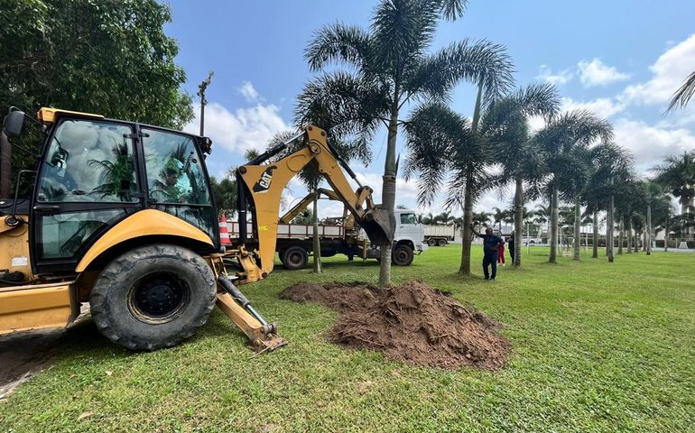 ASA inicia trabalho de ampliação do CT Noel Alves e doa palmeiras  à Prefeitura de Arapiraca