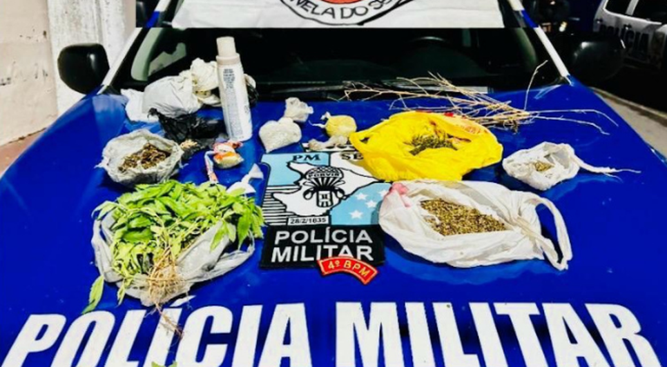 plantio de maconha / Foto: Reprodução: Foto/ Redes Sociais