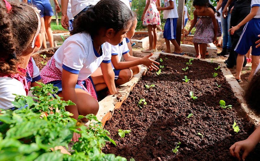 Plenário terá sessão especial pelos 25 anos da Política Nacional de Educação Ambiental