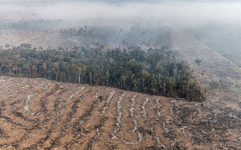 Fogo na Amazônia é etapa da exploração econômica do bioma