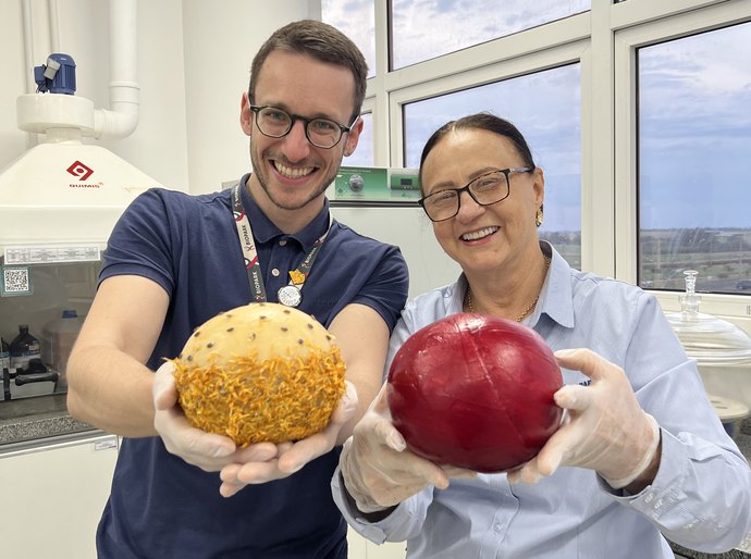 Projeto paranaense leva novos sabores à elite francesa do queijo