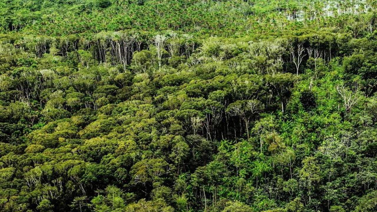 Amazônia Azul: tesouro soberano nacional