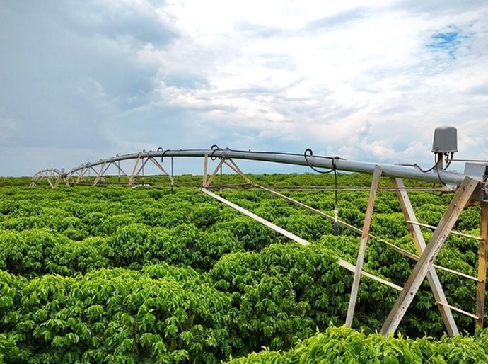 Consulta pública sobre desconto na conta de energia para irrigantes e aquicultores é reaberta por 15 dias
