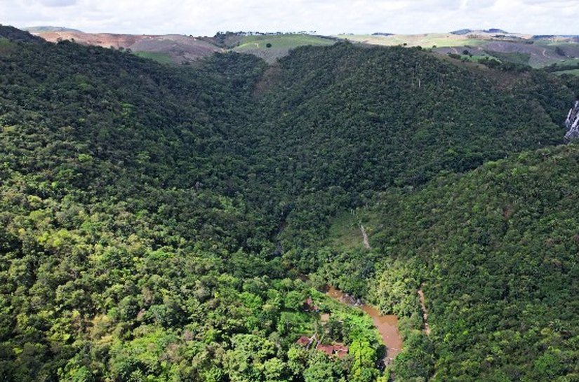 Alagoas tem queda de 68,4% no desmatamento em 2025