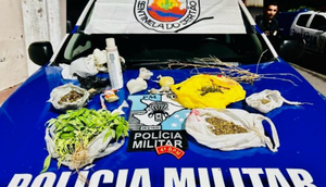 plantio de maconha / Foto: Reprodução: Foto/ Redes Sociais