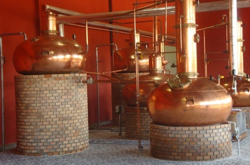 Cachaças se destacam mundialmente e movimentam o turismo