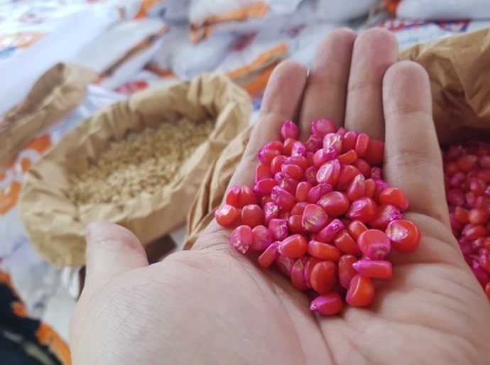 Estado entrega 120 mil kg de grãos a agricultores da região Norte no domingo