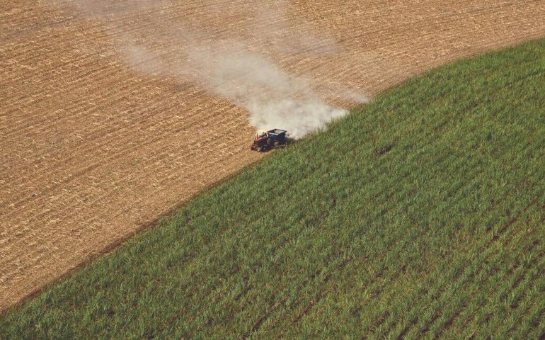 Brasil, China e Índia apresentam o maior potencial de produção de biogases, diz AIE