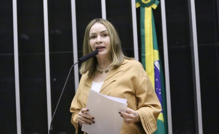 Texto aprovado é o substitutivo da relatora, Socorro Neri Texto aprovado é o substitutivo da relatora, Socorro Neri