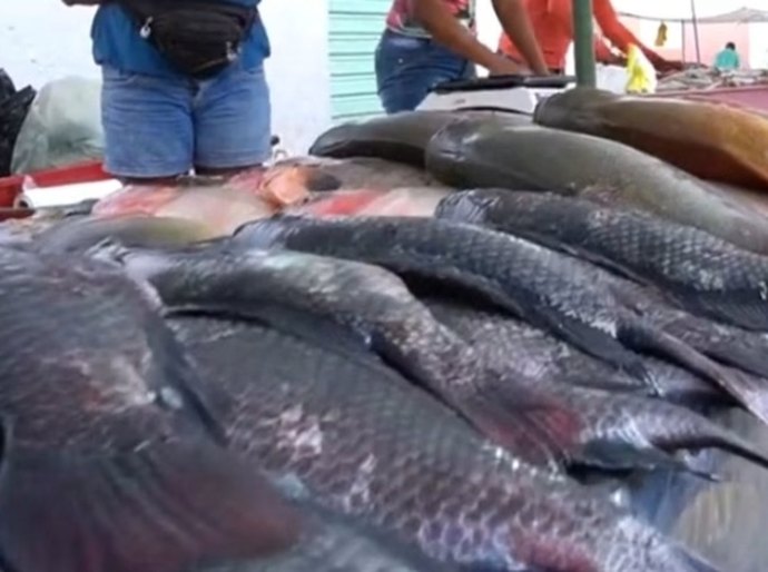 Vigilância Sanitária de Penedo orienta população sobre compra de peixe