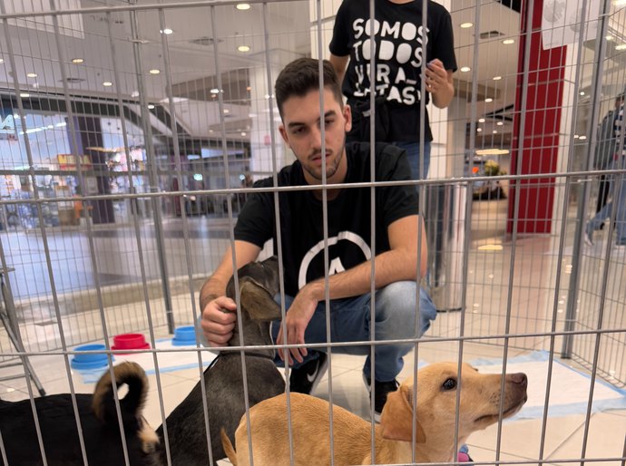 Pets resgatados pelo Projeto Anjos de Patas participam de evento de adoção no Sam´s Club Maceió