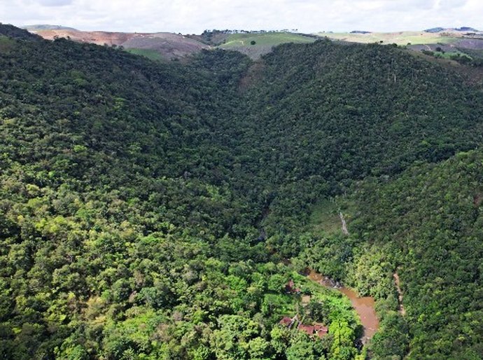 Alagoas tem queda de 68,4% no desmatamento em 2025