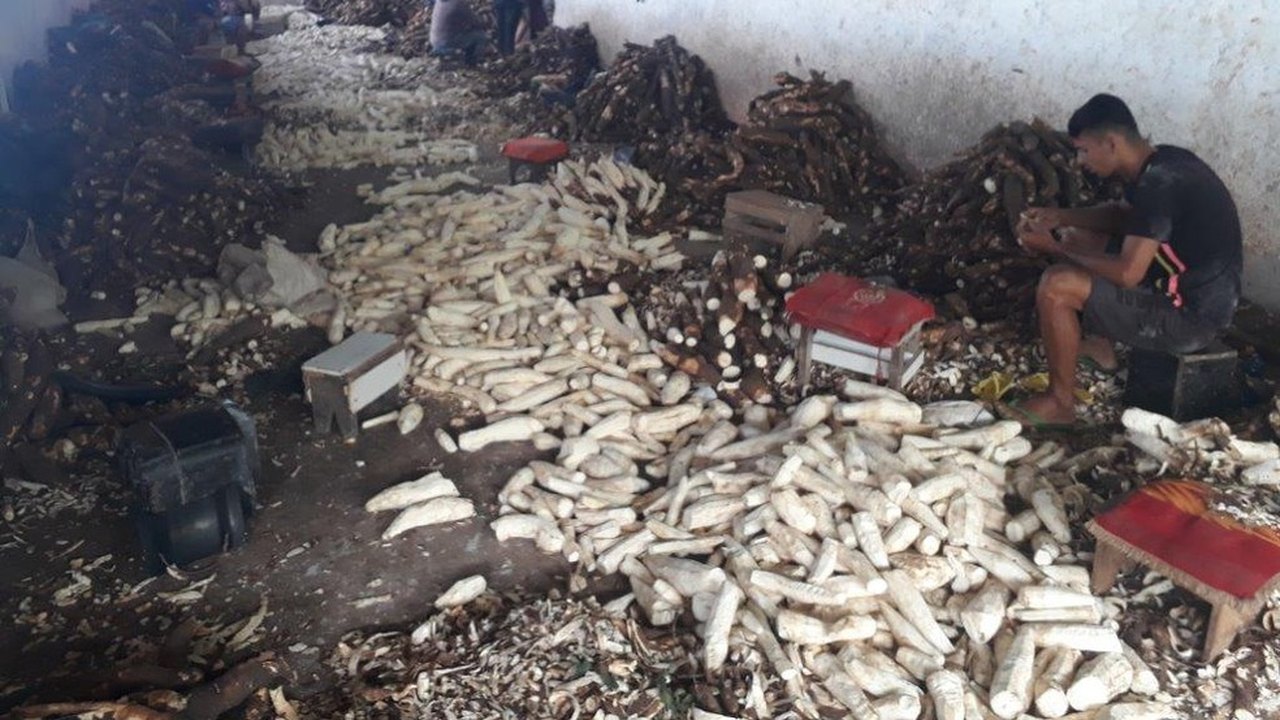 Após decisão judicial, Município de Feira Grande deverá garantir proteção a crianças encontradas em casas de farinha