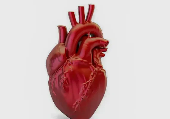 Doenças cardiovasculares matam 400 mil brasileiros por ano