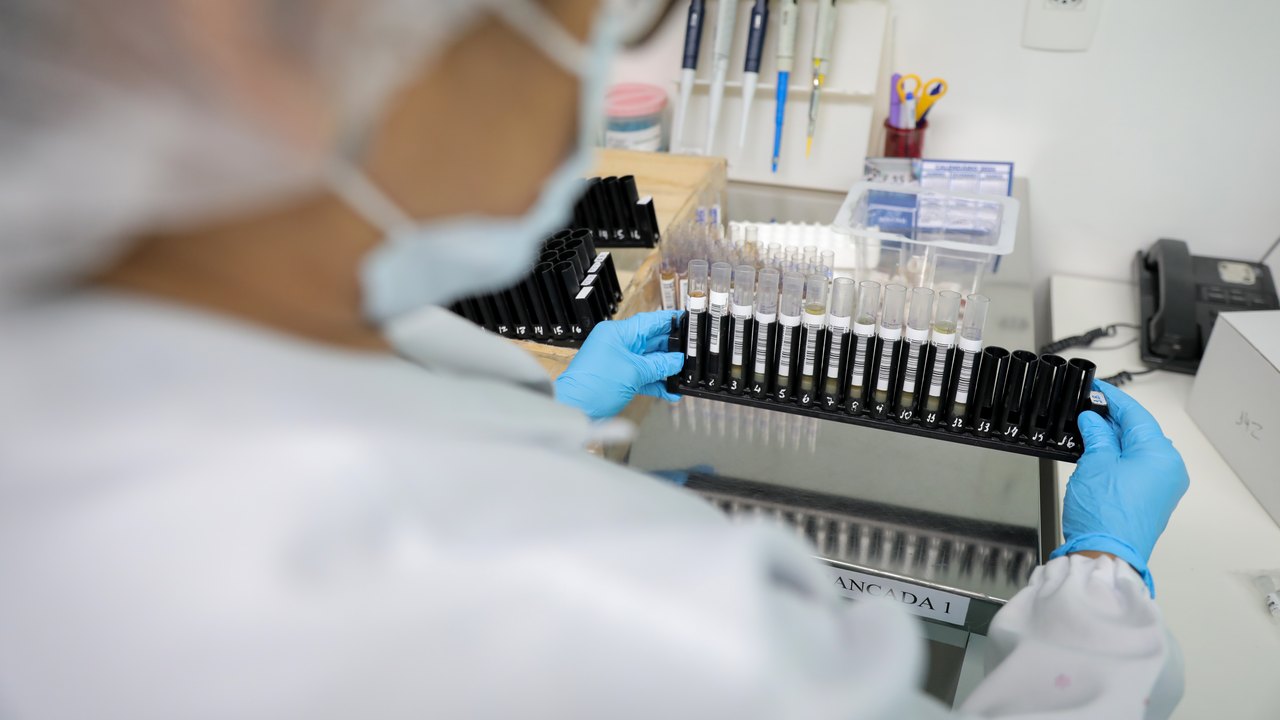 Malária: Anvisa autoriza teste em humanos de vacina 100% brasileira