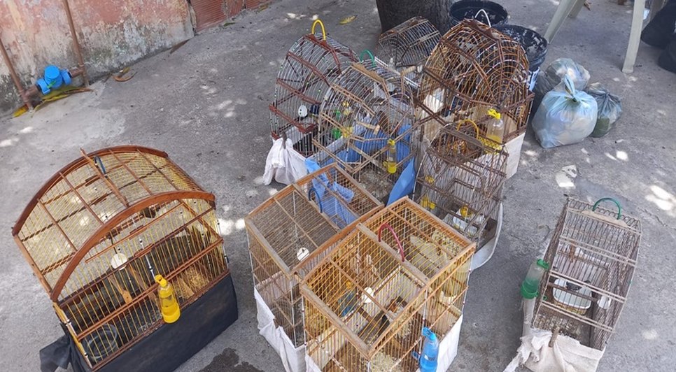 cats-1 / Foto: Foto: Ascom PM/SE