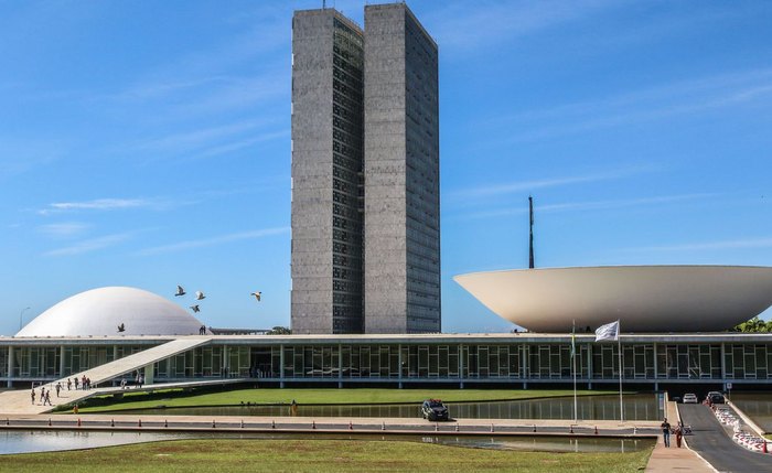 No requerimento de criação, os parlamentares argumentam querer apurar a atuação do movimento e de seus financiadores