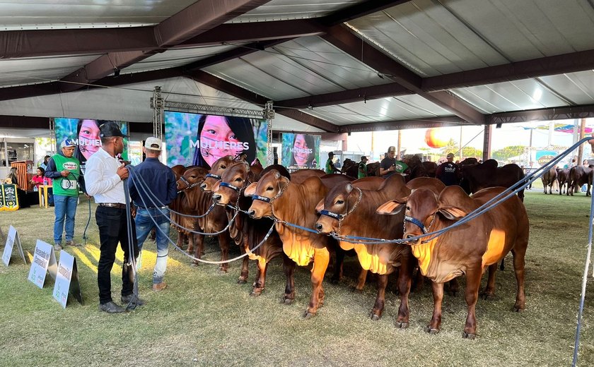 Expoagro Alagoas terá programação para este final de semana