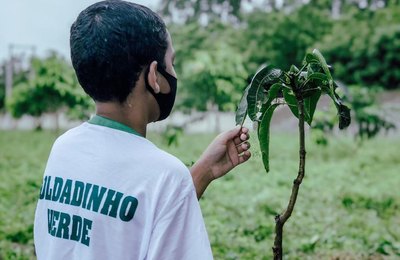 Secretarias de Campo Alegre iniciam atividades em alusão a Semana do Meio Ambiente 