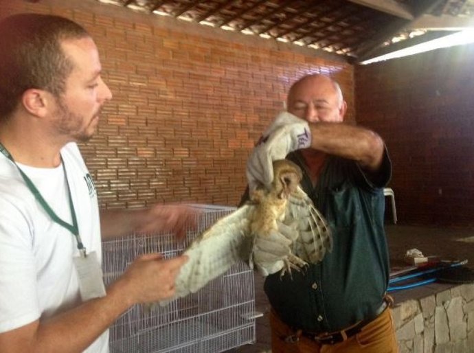 IMA orienta funcionários do Parque Municipal sobre manejo de animais silvestre