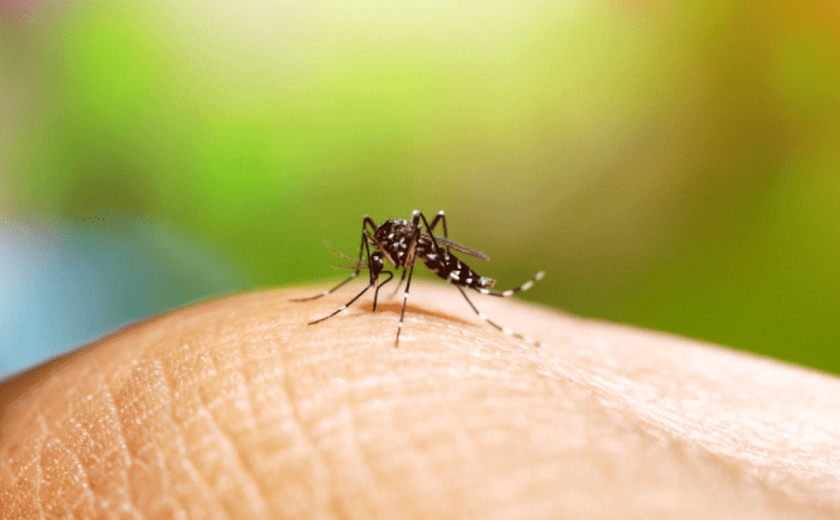 Mobilização nacional de prevenção à dengue acontece neste sábado (14)