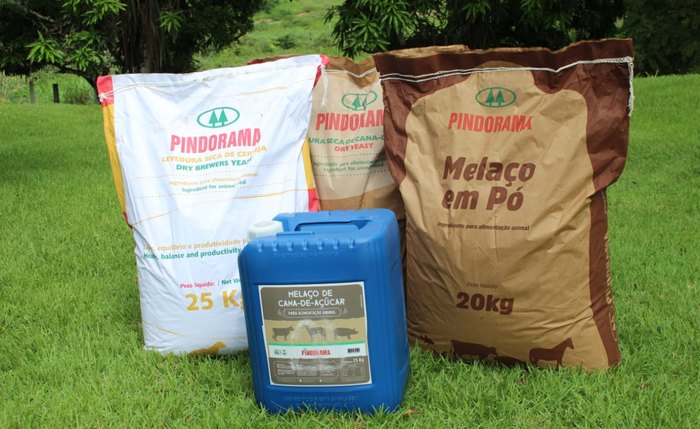 Melaço em Pó, vendido em sacos de 25 Kg, é a grande novidade do ano para a a indústria e pecuária Melaço em Pó, vendido em sacos de 25 Kg, é a grande novidade do ano para a a indústria e pecuária