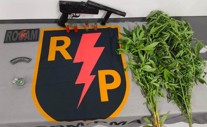 Policiais encontraram uma pequena plantação de maconha, com duas mudas e sementes