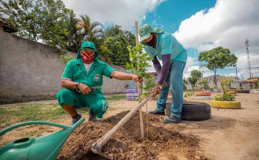 Arborização: Desenvolvimento Sustentável realizou o plantio de seis mil mudas de árvores na capital