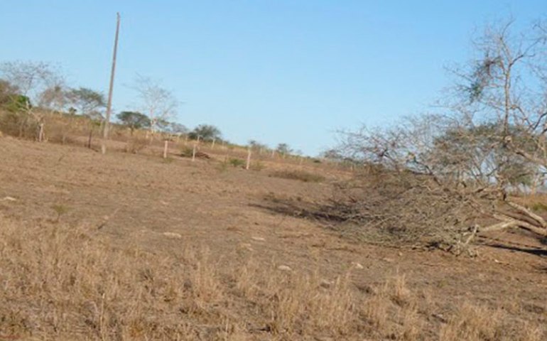 Arapiraca receberá ajuda contra efeitos da seca