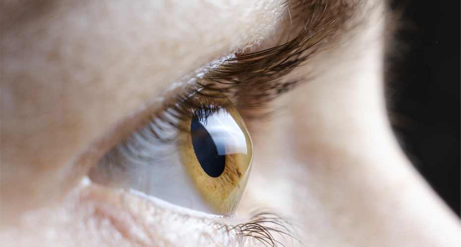 Projeto que institui campanha de conscientização sobre ceratocone é aprovada em 2º turno, na ALE