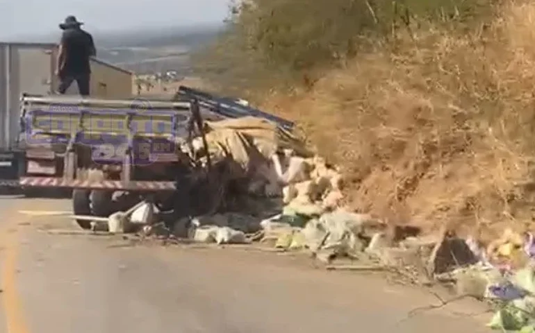 Caminhão perde os freios na Serra das Pias e motorista evita tragédia ao jogar veículo contra barreira