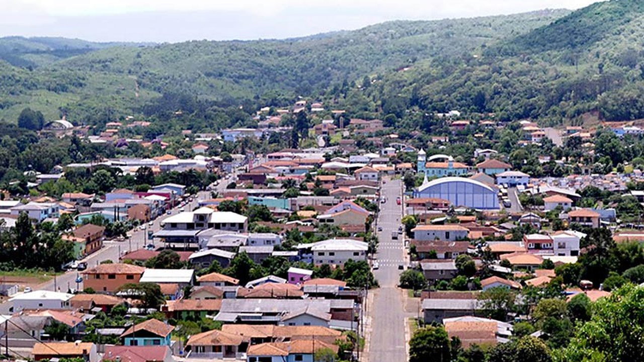 Cruz Machado agora é a capital nacional da erva-mate sombreada