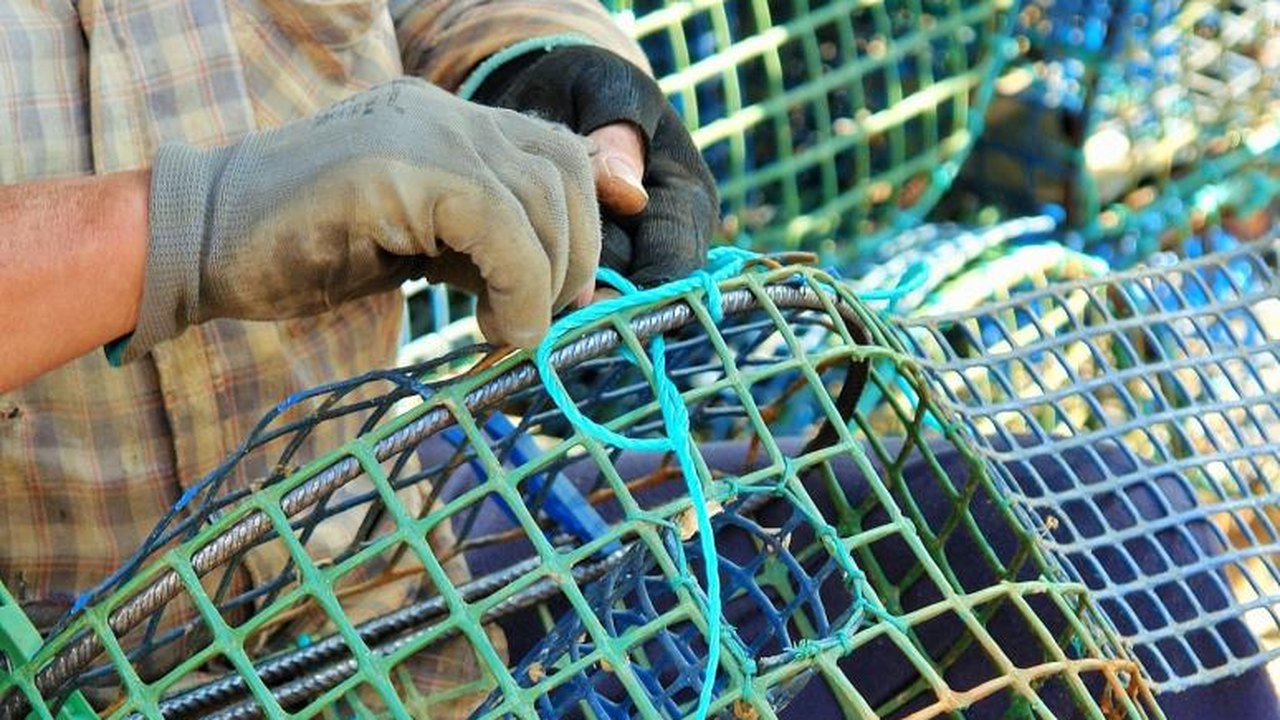 Pescadores de polvo lutam para proteger o maior recife de Portugal; entenda