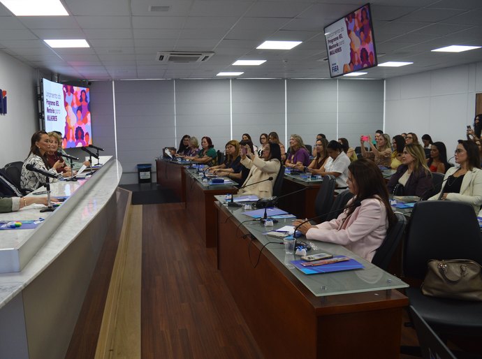 IEL e FNME lançam programa de mentoria para mulheres empresárias