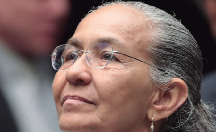 Alagoana assume vaga na Câmara Federal pelo Rio de Janeiro