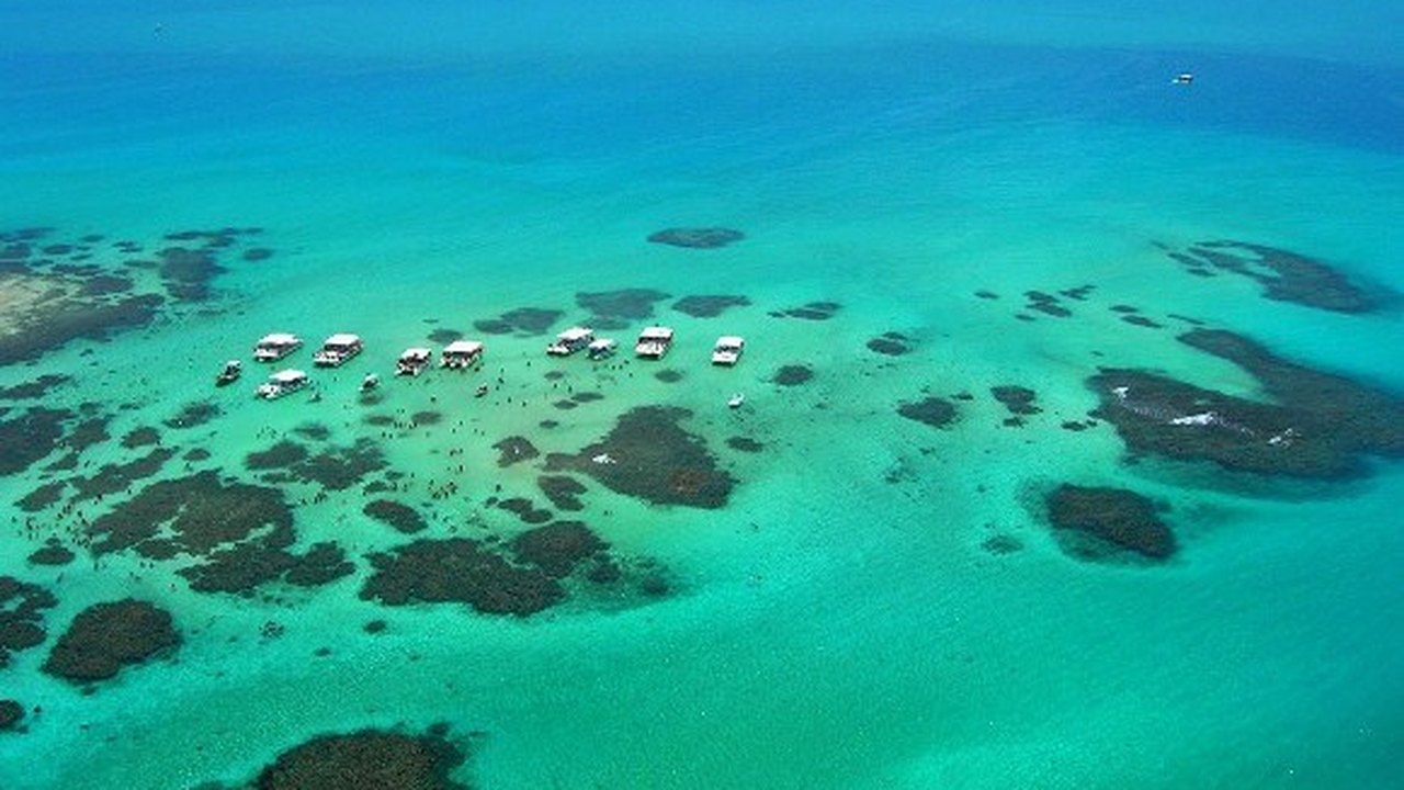 Hotéis e pousadas alagoanas ganham destaque em prêmio do TripAdvisor