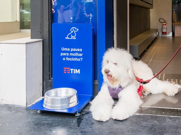 TIM reabre loja em Natal no conceito digital  e pet friendly