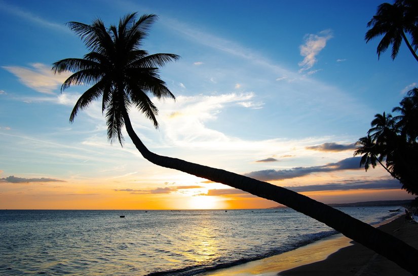 Alagoas se mantém como o melhor estado do país para abrir empresas