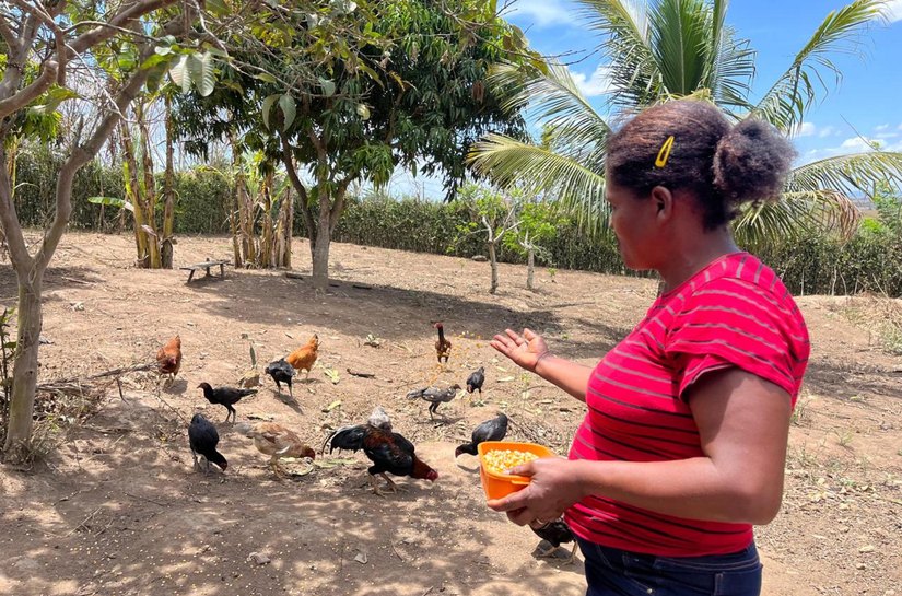 Há 13 anos, Emater atua dando assistência e desenvolvendo agricultura familiar em Alagoas