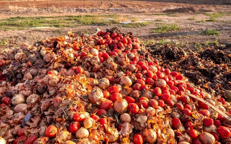 Projeto prevê punição para descarte de alimentos próprios para consumo