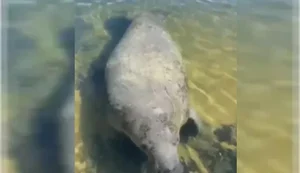 6ede8800ba57cc2da695bd52622d826b1ea