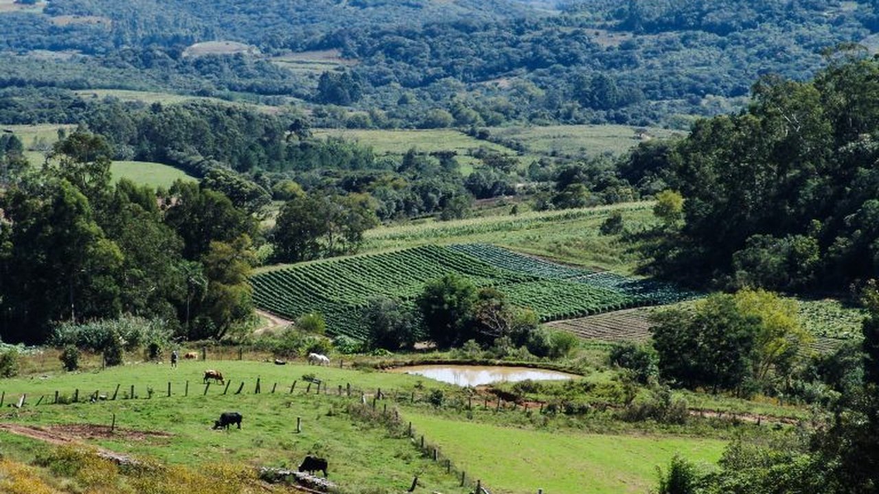 Comissão de Agricultura debate regulamentação da política de pagamento por serviços ambientais