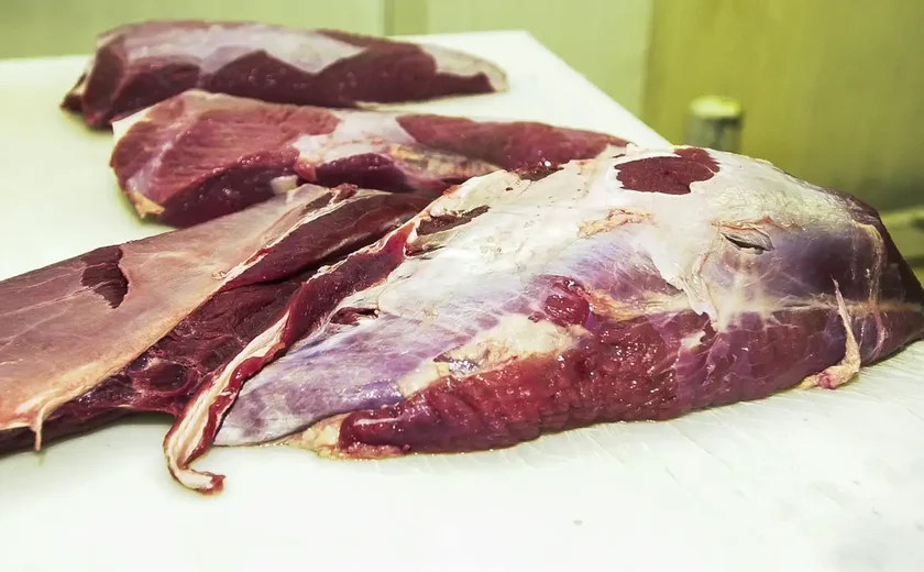 JBS anuncia doação de mil toneladas de proteína para vítimas das chuvas no RS