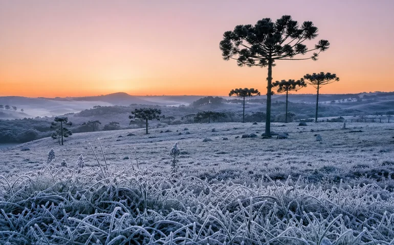 Serra Catarinense registra recorde de frio com marcas abaixo de zero nesta terça-feira