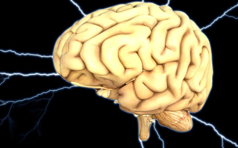 Cientistas chineses divulgam descoberta sobre células imunes para tratamento de doenças neurológicas