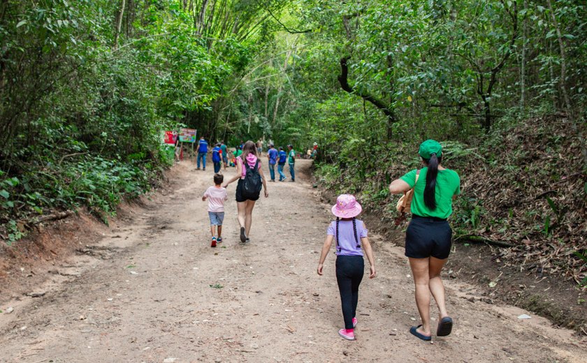 Parque Municipal fecha trilhas para manutenção
