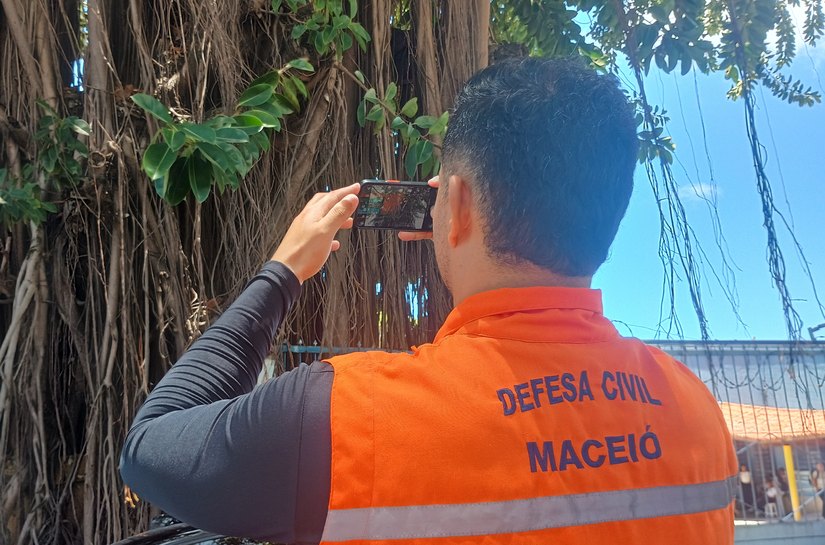 Defesa Civil inicia estudo técnico para avaliar saúde das árvores em praças de Maceió
