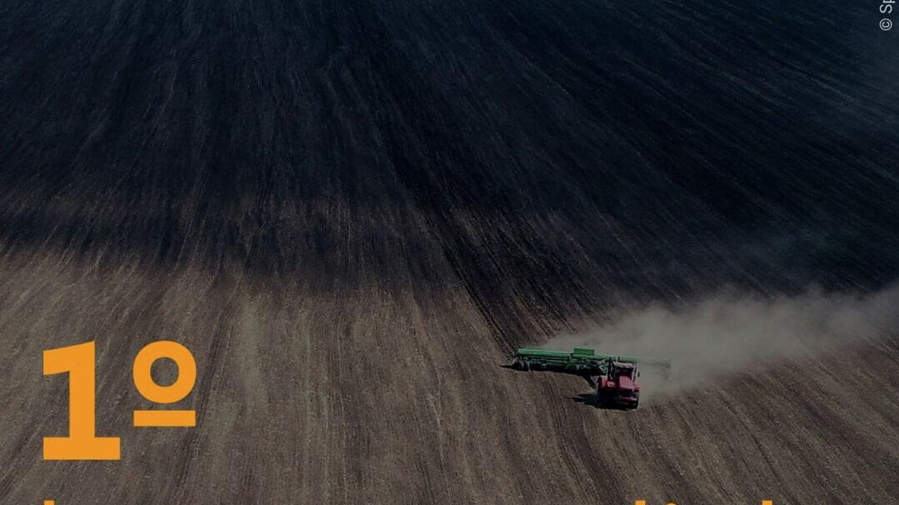 FAO prevê queda de 3,3% nas exportações mundiais de trigo em 2026-2027