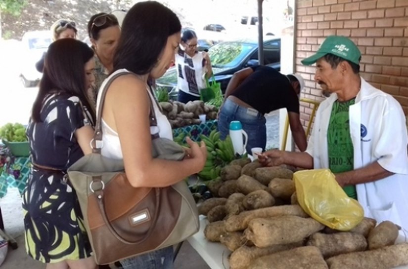 Terceira edição da Feira Orgânica ocorre nesta terça-feira (3), na Semarh