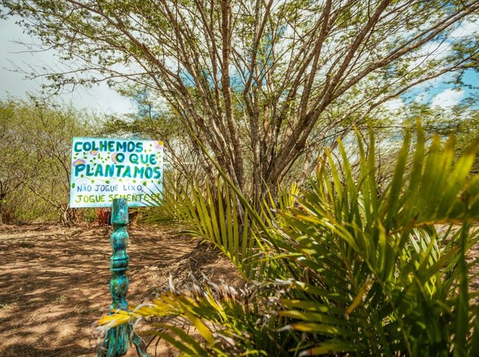 Crime ambiental: Prefeitura de Arapiraca alerta sobre queimadas e descarte irregular de lixo